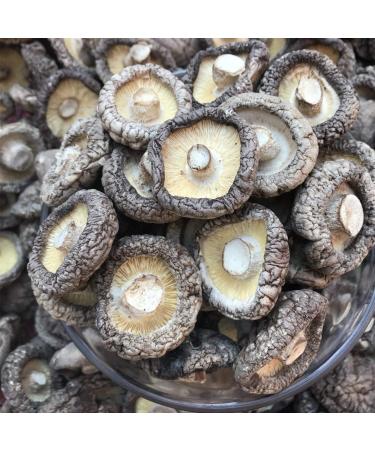 Premium Top Grade Organic Dried Shiitake Mushrooms - 3oz | Natural Grown & Wild Harvested - Buy Online on GoSupps.com
