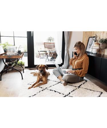 Back Bodyguard Back Belt - Innovative Lumbar Support Kidney Belt 4 Sizes Available - Relieve Back Pain Today! - Buy Online on GoSupps.com