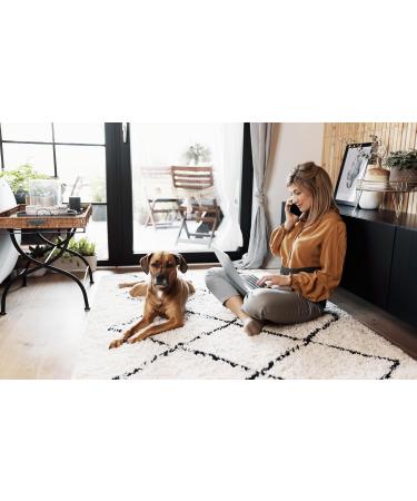 Back Bodyguard Rear Belt - Innovative Lumbar Spine Support | Back Bandage & Kidney Support - Available in XL Black - Buy Online on GoSupps.com