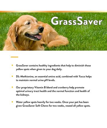 NaturVet GrassSaver Plus Enzymes for Dogs - 240 Soft Chews | Premium Lawn Protection - Buy Online on GoSupps.com