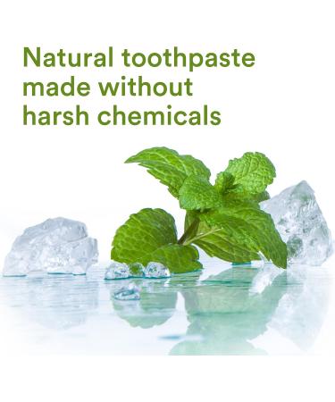 Buy Xyloburst Fluoride-Free Xylitol Toothpaste - Cool Mint SLS-Free & Cruelty-Free 4 oz - Made in USA - Buy Online on GoSupps.com