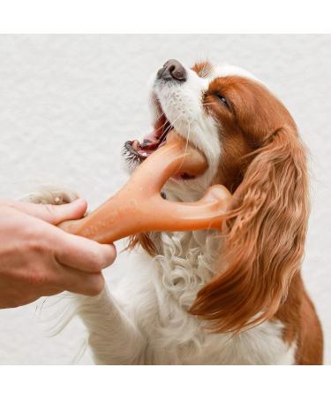 Benebone Wishbone Real Chicken Small Dog Chew Toy - Durable for Aggressive Chewers | International Shipping Available - Buy Online on GoSupps.com
