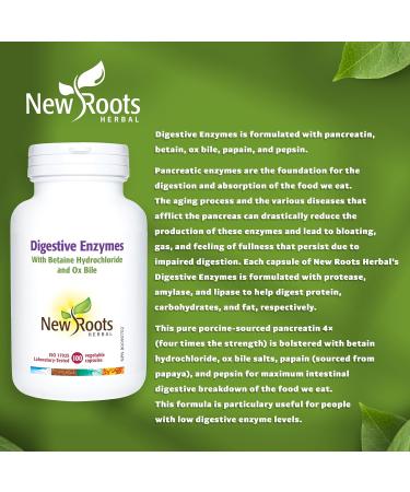 New Roots Herbal Digestive Enzymes with HCL 100 Veg Capsules - Comprehensive Digestive Support Supplement for Men & Women Eases Discomfort Includes Papaya & Lipase Enzymes Pancreatic Function Aid - Buy Online on GoSupps.com