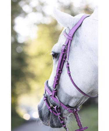 Indira Bridle Pro for Cob & Small Horses - Premium Pink 01 | International Shipping Available - Buy Online on GoSupps.com