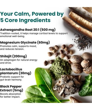 5-in-1 Cortisol Supplement for Women and Men with Ashwagandha for Calmness Focus and Adrenal Support Supplements with Shilajit Extract Magnesium Glycinate Probiotics (120 ct) (Pack of 1) 120 Count (Pack of 1) - Buy Online on GoSupps.com