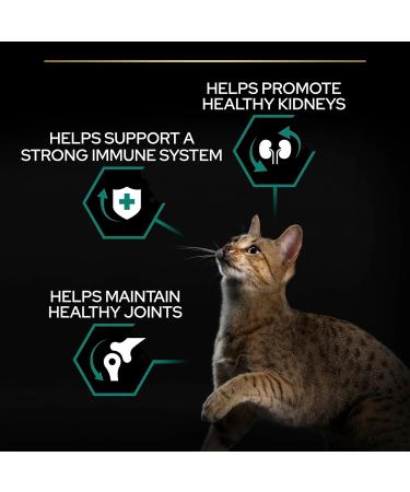 PRO PLAN Adult 1+ RENAL PLUS Rich in Chicken Dry Cat Food 3kg Chicken 1.2 kg (Pack of 1) - Buy Online on GoSupps.com