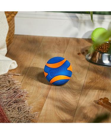 Chuckit! Ultra Squeaker Ball Small - Multi-Coloured 1-Pack for Interactive Fun | International Shipping Available - Buy Online on GoSupps.com