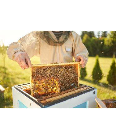 Depilatory Wax - Selas Seeds 500g | Choose Nature Rose Hips or Aloe Vera for Smooth Skin - Buy Online on GoSupps.com