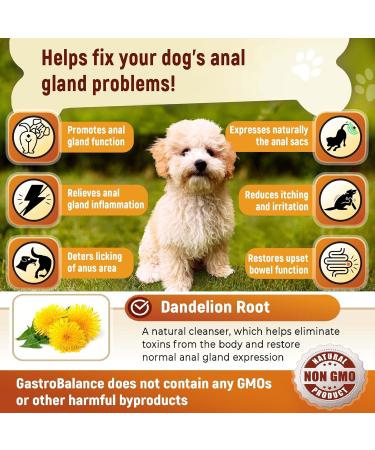 Buy GastroBalance Healthy Anal Glands Dog Chews - 60 Natural Chicken Flavor Soft Snacks for Optimal Health - Buy Online on GoSupps.com