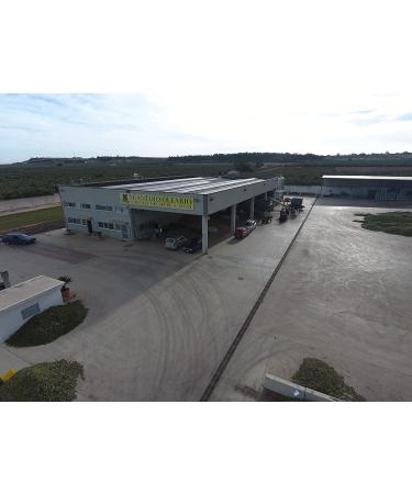 Cirulli Italian Extra Virgin Olive Oil Cold Extracted Bag in Box EVO (5 Liters) - Buy Online on GoSupps.com