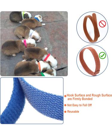 30-Pack Adjustable Puppy ID Collars | Soft Double-Sided Pet Bracelets for Newborn Dogs & Cats | 15 Colors Available - Buy Online on GoSupps.com