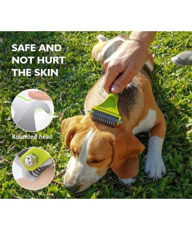 Pecute Double Sided Dog Brush and Comb Set for Grooming | Removes Loose Undercoat Knots and Mats | Dog Grooming Tools | Green - Buy Online on GoSupps.com