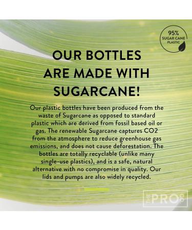 Punish & Invigorating Body Lotion 100ml - Vegan Grapefruit & Olive Oil Enriched with Apricot Oil Sustainable & Plastic-Free | The Pro CO - Buy Online on GoSupps.com