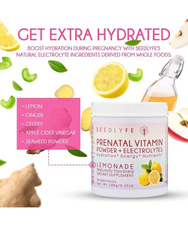 Seedlyfe Prenatal Vitamin Powder with Electrolytes - Pregnancy Must-Have Supplement, Lemonade Flavor - Buy Online on GoSupps.com