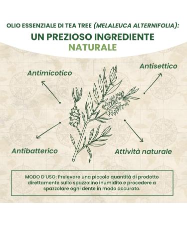 Triple action gel toothpaste with organic tea tree oil and aloe vera for daily oral hygiene. - Buy Online on GoSupps.com