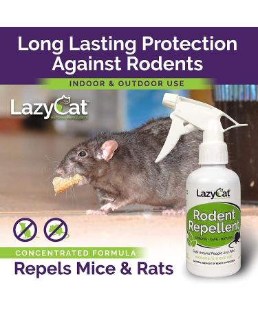 Rodent Repellent Spray 2X Strength - Peppermint Oil - MAX Power for Home, RV, Car, Camper, Boat - Natural Mouse & Rat Repellent (2 Pack) - Buy Online on GoSupps.com