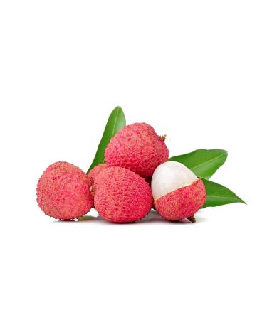 Buy Spring Happiness - Pack of 5 Premium Lychees (567g Can) | Original Lychee Litchi - Traditionally Preserved | International Shipping Available - Buy Online on GoSupps.com