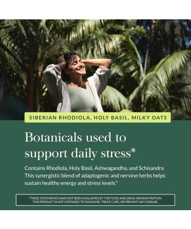 Gaia Herbs Adrenal Health Daily Support - Herbal Supplement with Ashwagandha Holy Basil & Schisandra - Help Maintain Healthy Energy & Stress Levels* - 60 Vegan Liquid Phyto-Caps (30 Servings) 60 Count (Pack of 1) Standard  - Buy Online on GoSupps.com