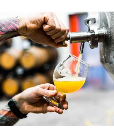 Lallemand Diamond beer yeast bottom fermentation yeast 11 g dry yeast for light warehouse lager export Classic yeast with neutral taste Ideal for hobby brewers - Buy Online on GoSupps.com