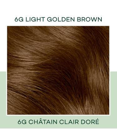 Clairol Natural Instincts Demi-Permanent Hair Dye 6G Light Golden Brown Hair Color 5.85 Fl Oz - Pack of 1 - Buy Online on GoSupps.com