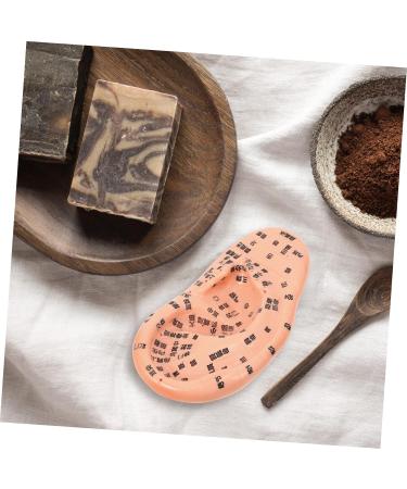 FRCOLOR 1pc Artificial Human Ear Model - Acupuncture & Massage Tool for Ear Acupoint Therapy | Medical PVC Teaching Aid - Buy Online on GoSupps.com