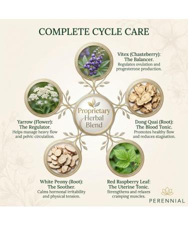 Perennial Healthy Cycles PMS and Period Relief Supplement with Vitex, Dong Quai, and Raspberry Leaf Supports Menstrual Balance and Comfort Natural Formula for Women s Cycle Health 120 Capsules - Buy Online on GoSupps.com