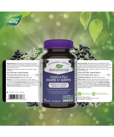 Sambucus Elderberry Cold and Flu Care Capsules 90 Vegetarian Capsules Non-GMO Project Verified 90 Capsules Medicine - Buy Online on GoSupps.com