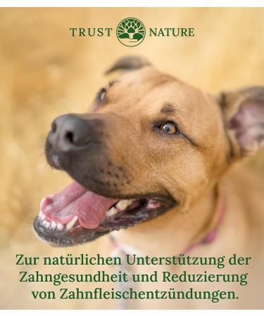 Trust Nature Dental Care Powder for Dogs & Cats | Anti-Plaque & Fresh Breath | German-Made with Parsley Mint Vitamin C Spirulina & Chlorella - Buy Online on GoSupps.com