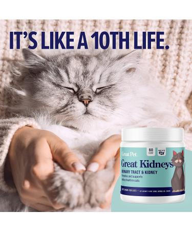 Great Kidneys Natural Cat Kidney Support Treats - Chicken Flavor - Made in USA - Buy Online on GoSupps.com