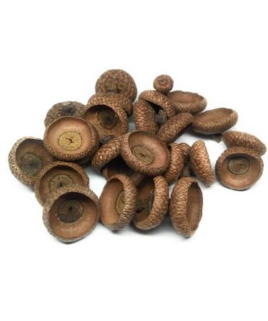 Tiptop Home Nature24 50 caps/hats of red oak