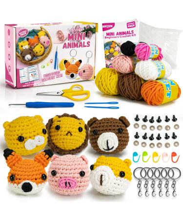 HEJIN Crochet Kit for Beginners, Beginner Crochet Kit for Adults