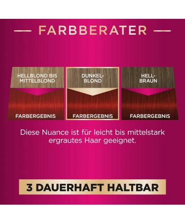 Palette Intensive Creme Coloring 6-88/678 Ruby Red - Permanent Hair Color for 100% Gray Coverage & 8 Weeks of Intensive Gloss | 3 x 115 ml - Buy Online on GoSupps.com
