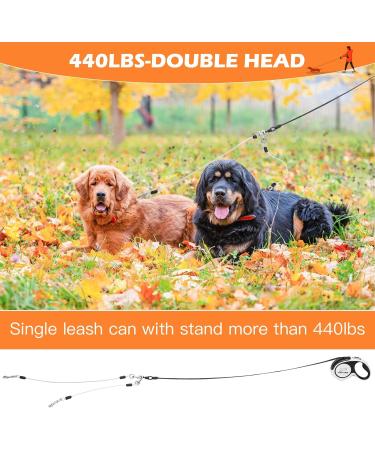 EXPAWLORER Chew Proof Retractable Dog Lead - Dual Extendable Reflective Lead for 2 Dogs, 5M Heavy Duty Double Lead for Small, Medium & Large Dogs - Buy Online on GoSupps.com