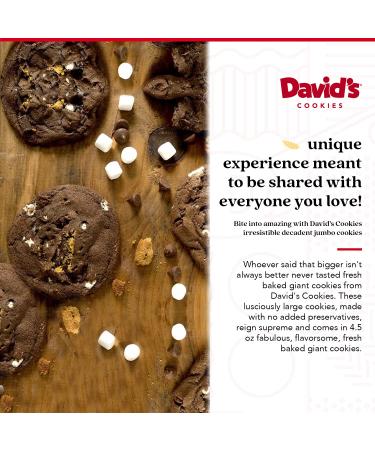 David's Cookies Fresh Baked Decadent Jumbo Smores Cookies Gift Tin - 2 lb (8pcs) | Perfect Gift for Special Occasions - Buy Online on GoSupps.com