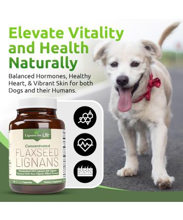 Lignans For Life Flaxseed Lignans for Dogs DG - Omega 3 Fatty Acids Digestive & Heart Health Lignans for Dogs 35 mg 90 Capsules - Pack Of 2 - Buy Online on GoSupps.com