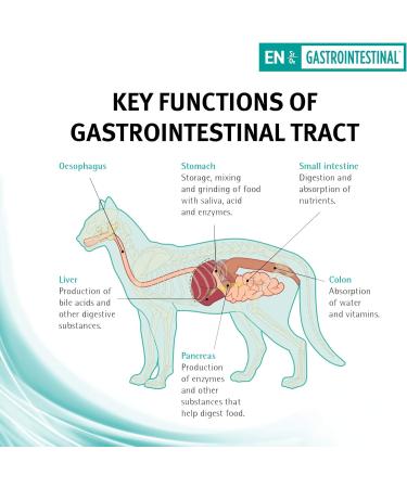 PRO PLAN VETERINARY DIETS EN Gastrointestinal Wet Cat Food 195g Pack of 24 Cat Gastrointestinal 195 g (Pack of 24) - Buy Online on GoSupps.com