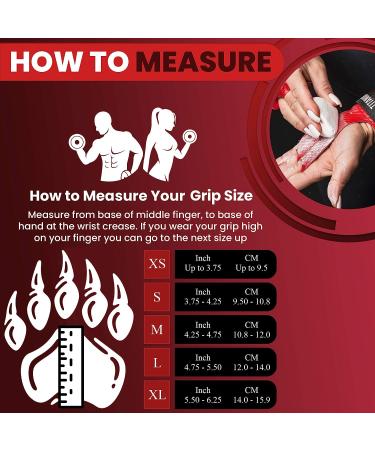 Bear Grips 2 Hole Carbon Hand Grips for Cross Training | Padded Wrist Straps | Medium Size | Pull Up Grips for Men & Women | WODs & Gymnastics Grips | Weightlifting Gloves - Buy Online on GoSupps.com
