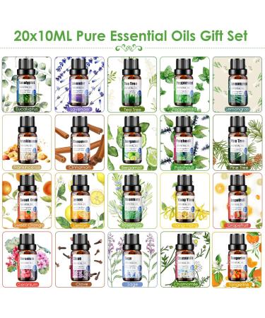 Premium Essential Oils Set - 20 x 10ML Kit for Diffusers Home Care Candle Making & Gifts | Frankincense Cinnamon Eucalyptus Lavender & More - Buy Online on GoSupps.com