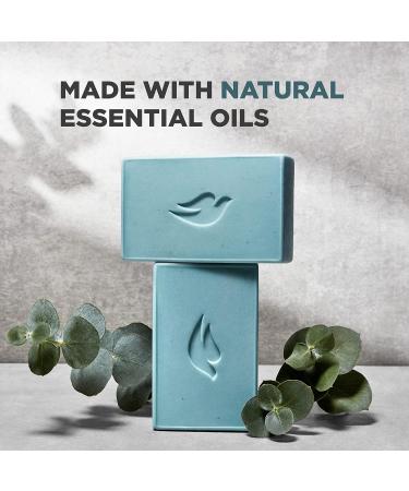 Dove Men+Care Natural 4-in-1 Bar Soap with Eucalyptus & Cedar Oil 5oz - Hydrating Men's Body, Hair, Face, and Shave Soap - Buy Online on GoSupps.com