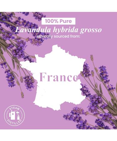 Handcraft Blends Gentle Relax Set: Apricot Kernel Oil (16 Fl Oz) and Lavender Essential Oil (4 Fl Oz) 100% Pure & Natural for Soothing Massage and Baby Soft Skin - Buy Online on GoSupps.com