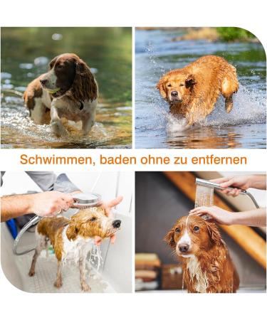 DEWEL 2PCS Adjustable Waterproof Tick Collar for Dogs & Cats - 63.5cm Flea Prevention - Buy Online on GoSupps.com