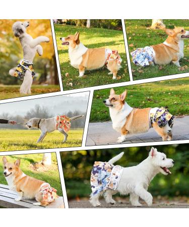 Demigreat High-Suction XS Folter Trousers & Adjustable Women's Bandages Dog Diapers for Bitches - 3 Piece Sunflower Set - Buy Online on GoSupps.com