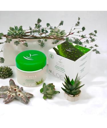 ISB Cleansing Mask 100ml | Aloe Bio & Thermal Water from Ischia | International Shipping - Buy Online on GoSupps.com