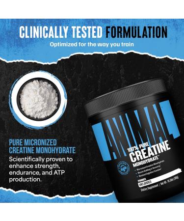 Animal Creatine Monohydrate Powder Micronized Creatine for Women and Men Supports Muscle Growth Strength Endurance Recovery and ATP Production Gym & Workout Supplements - Unflavored 300g Unflavored 300g (Pack of 1) - Buy Online on GoSupps.com