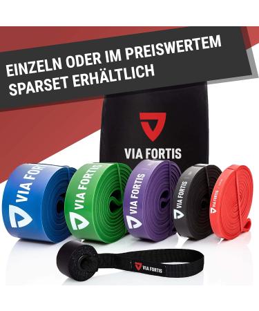 Via Fortis Premium Resistance Bands - Ultra-Light Level 1 Fitness Band with Exercise Guide & Bags for Strength Training - Buy Online on GoSupps.com