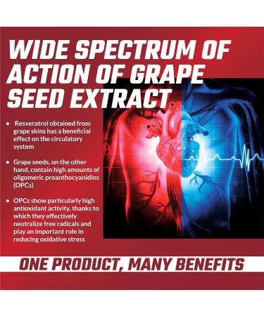 Grape Seed Extract 95% OPCs 400mg | 90 Vegan Capsules | Strong Antioxidant | Apollo's Hegemony - Buy Online on GoSupps.com