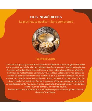 Boswellia Serrata 20.000mg - 360 Capsules - Wellness Joint - 85% Boswellic Acid - Indian Incense (Extract 10:1) - Ayurveda Vegan - Free: Additives Lactose & Gluten - TRUE NATURE - Buy Online on GoSupps.com