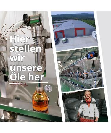 Rosehip Oil Organic Cold Pressed Body and Facial Oil from Rose Hip Natural Anti-Ageing Face Care 30 ml (Rose Hip) - Buy Online on GoSupps.com