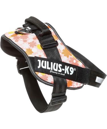 Julius-K9 Baby Boys IDC Powerharness Dog Harness - Pink with Flowers 2XL/3 | International Shipping Available - Buy Online on GoSupps.com