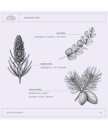 A LA MAISON French Liquid Hand Soap RefilL - Natural Hand Wash Made with Essential Oils - Biodegradable, Plant-Based, Vegan, Cruelty-Free (33.8 Fl Oz Pouch (1 Pack), Lavender Aloe) - Buy Online on GoSupps.com